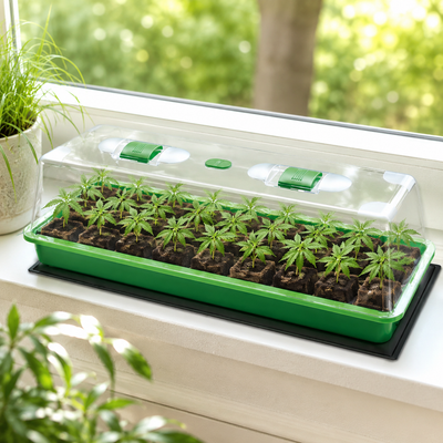 Heizmatte mit digitalem Thermostat und Anzuchtschale mit Setzlingen – Keimungsmatte für Indoor Grow