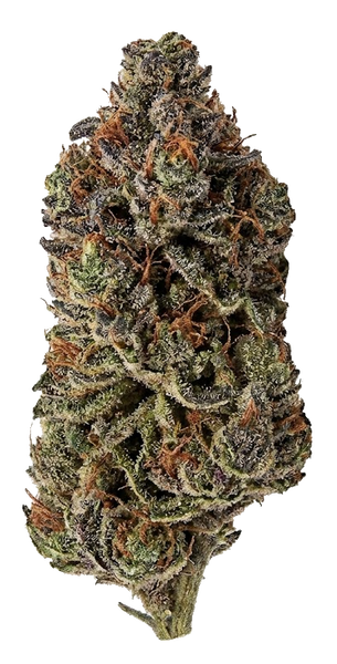 Special Kush 1
