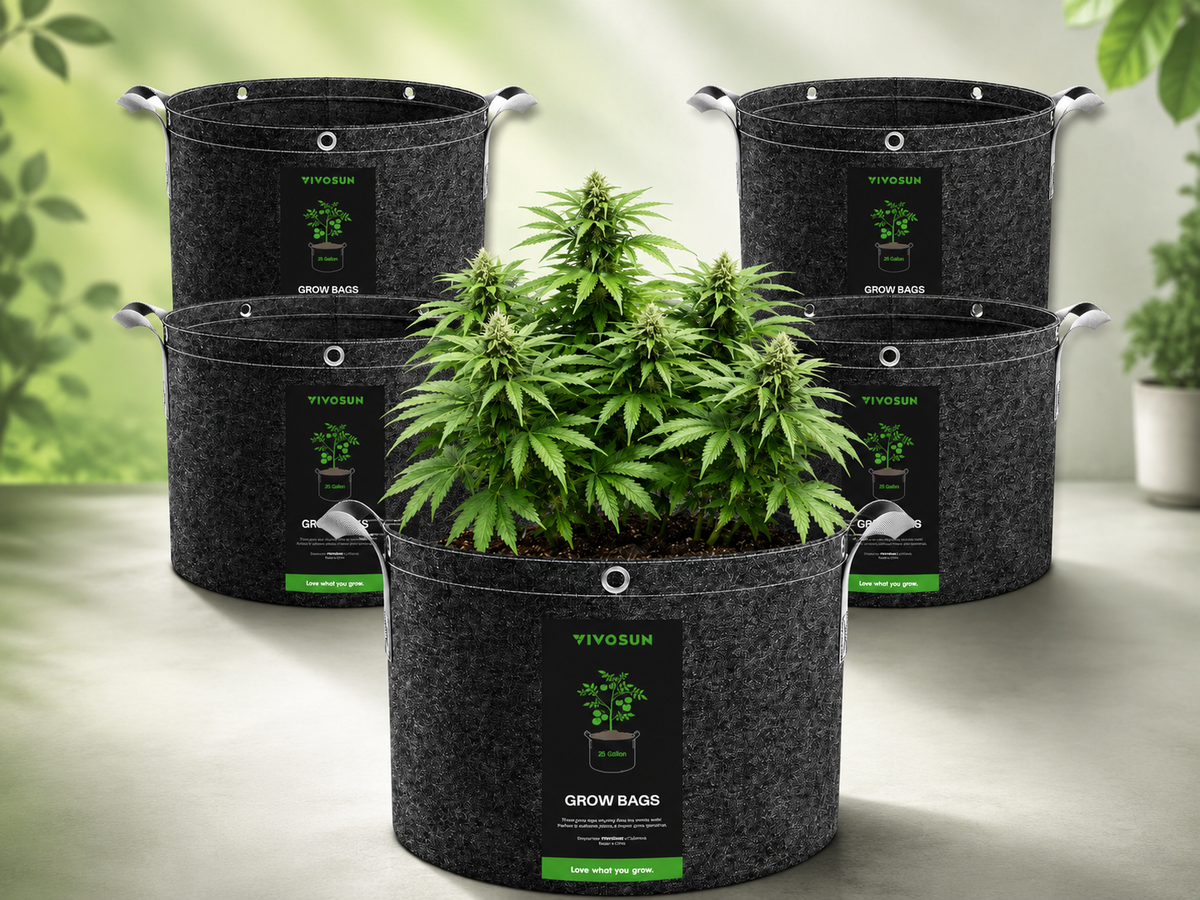 Cannabis Pflanze in atmungsaktivem Stofftopf (Grow Bag) für den Indoor- und Outdoor-Anbau. Hochwertige Pflanzsäcke fördern die Wurzelbelüftung, verbessern die Drainage und unterstützen gesundes Wachstum von Cannabispflanzen.